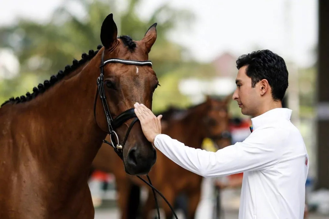 「京彩雅加达」马背上的绅士——华天