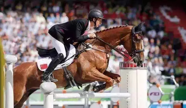 「京彩雅加达」马背上的绅士——华天