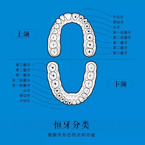 超实用的拔牙小技巧有哪些,拔牙知识图片