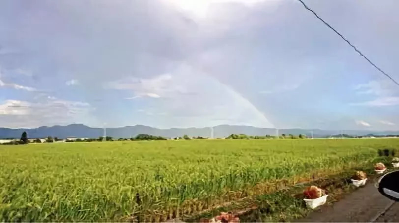 井上雄彦原版漫画,井上雄彦另一部漫画