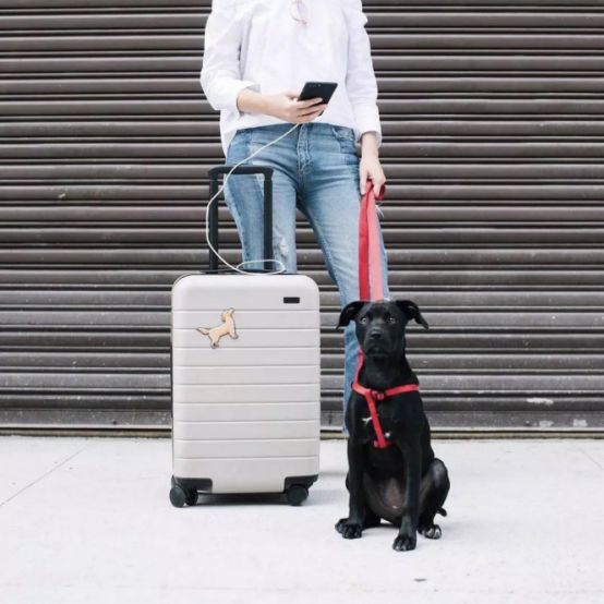 12娆炬梾琛岀鎺ㄨ崘,鍝嚑娆炬梾琛岀鍊煎緱璐拱