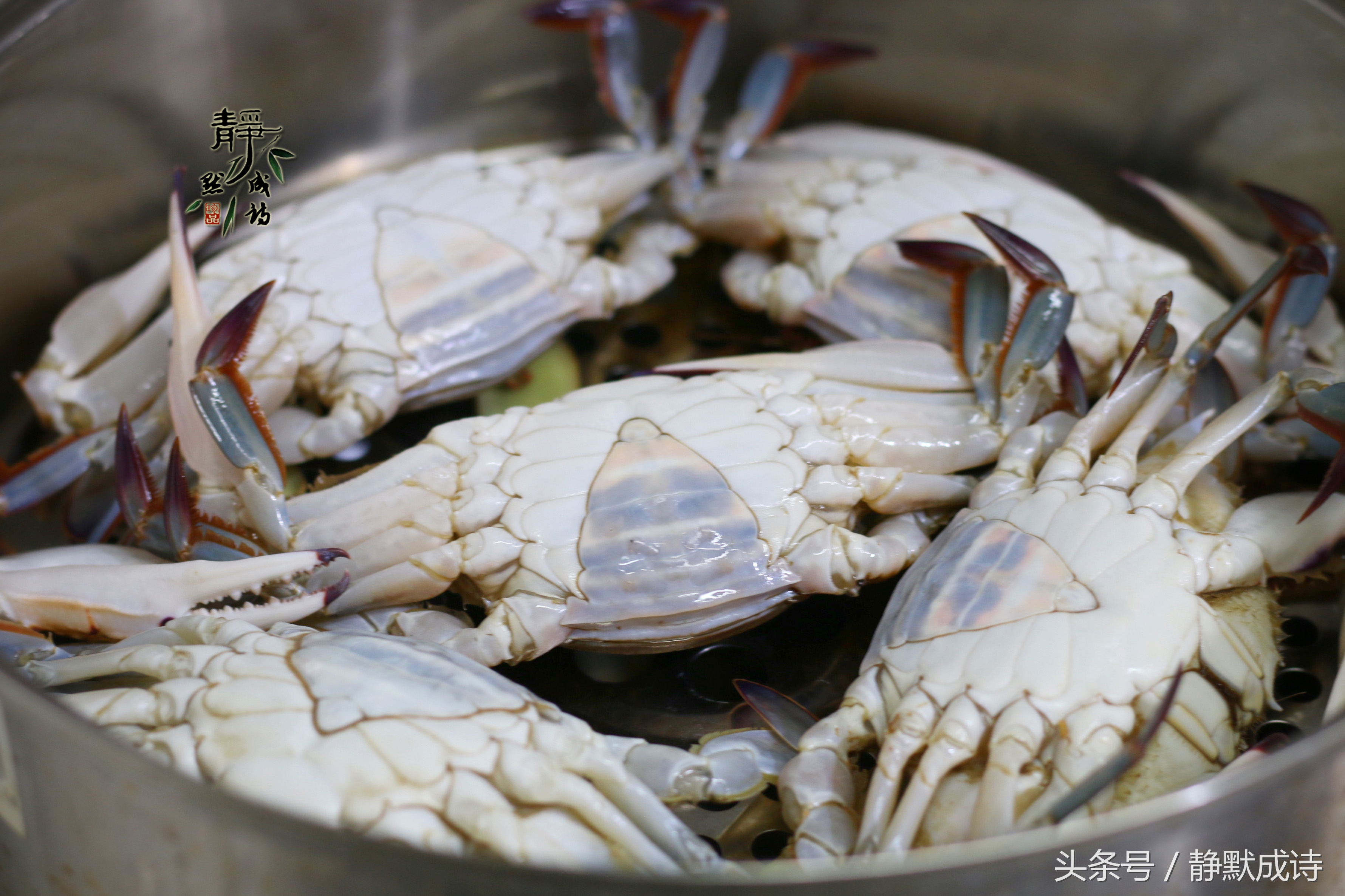 蒸熟的螃蟹冰冻后再蒸要多久,螃蟹在电饭煲里面蒸要蒸多长时间