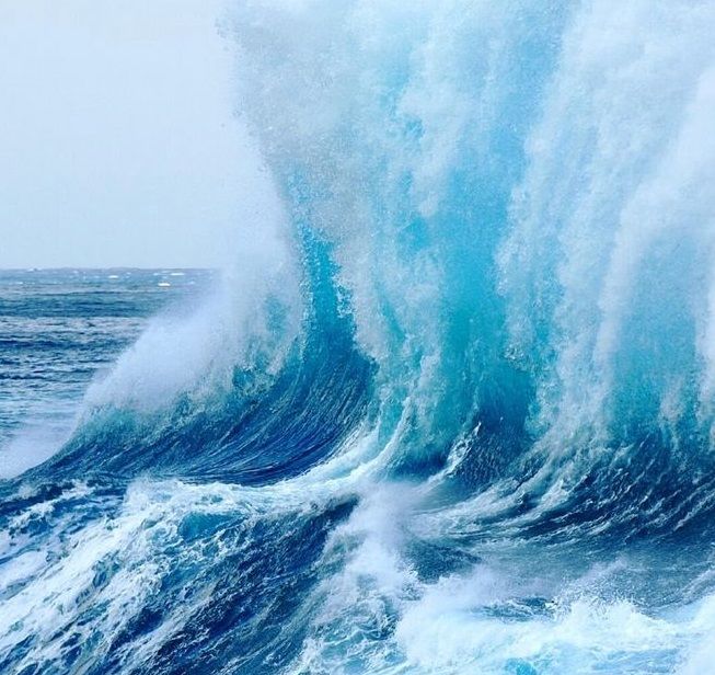 现在佰亿猫案件处理得怎样了,佰亿猫事件处理结果