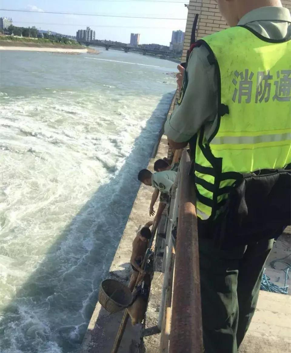 江油涪江二桥下4人1狗被困河中，怎么回事？