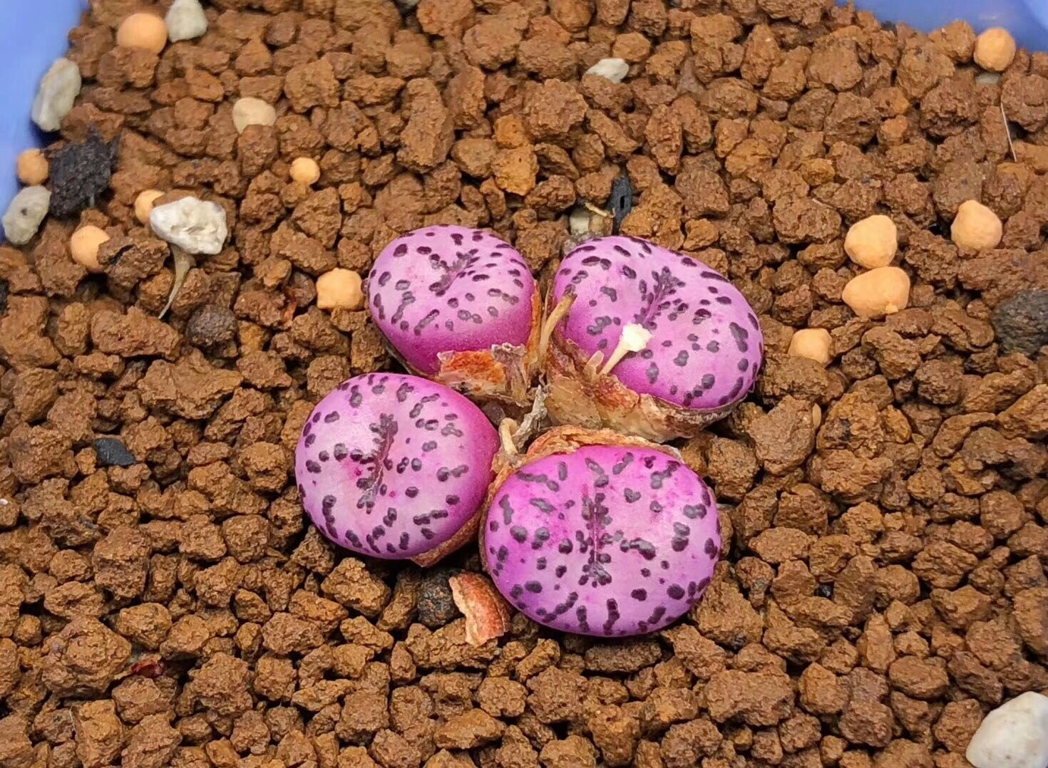 慢生活阅读视频,慢生活阅读