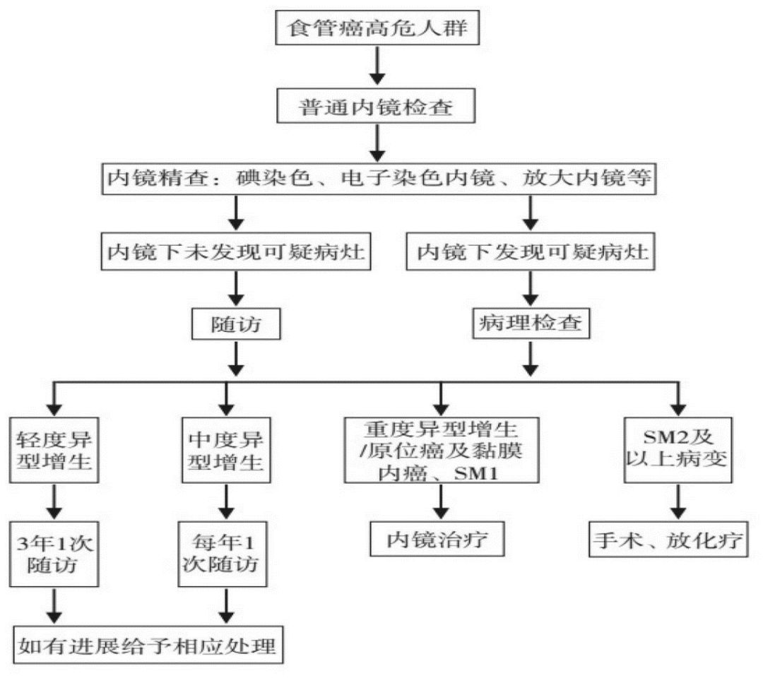 「人医专家说健康」“食”刻“道”来——正确认识食管癌，切勿谈癌色变