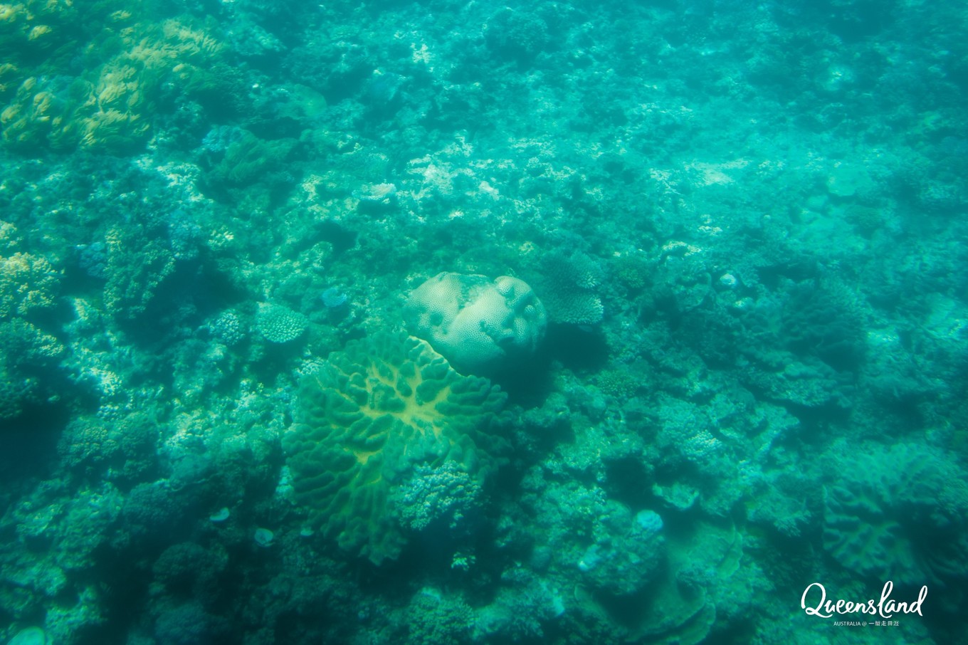 大堡礁坐船多久,去大堡礁玩多少钱