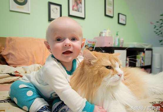 宝宝被狗抓伤要打狂犬疫苗吗,宝宝被家养狗抓破皮需要打疫苗吗