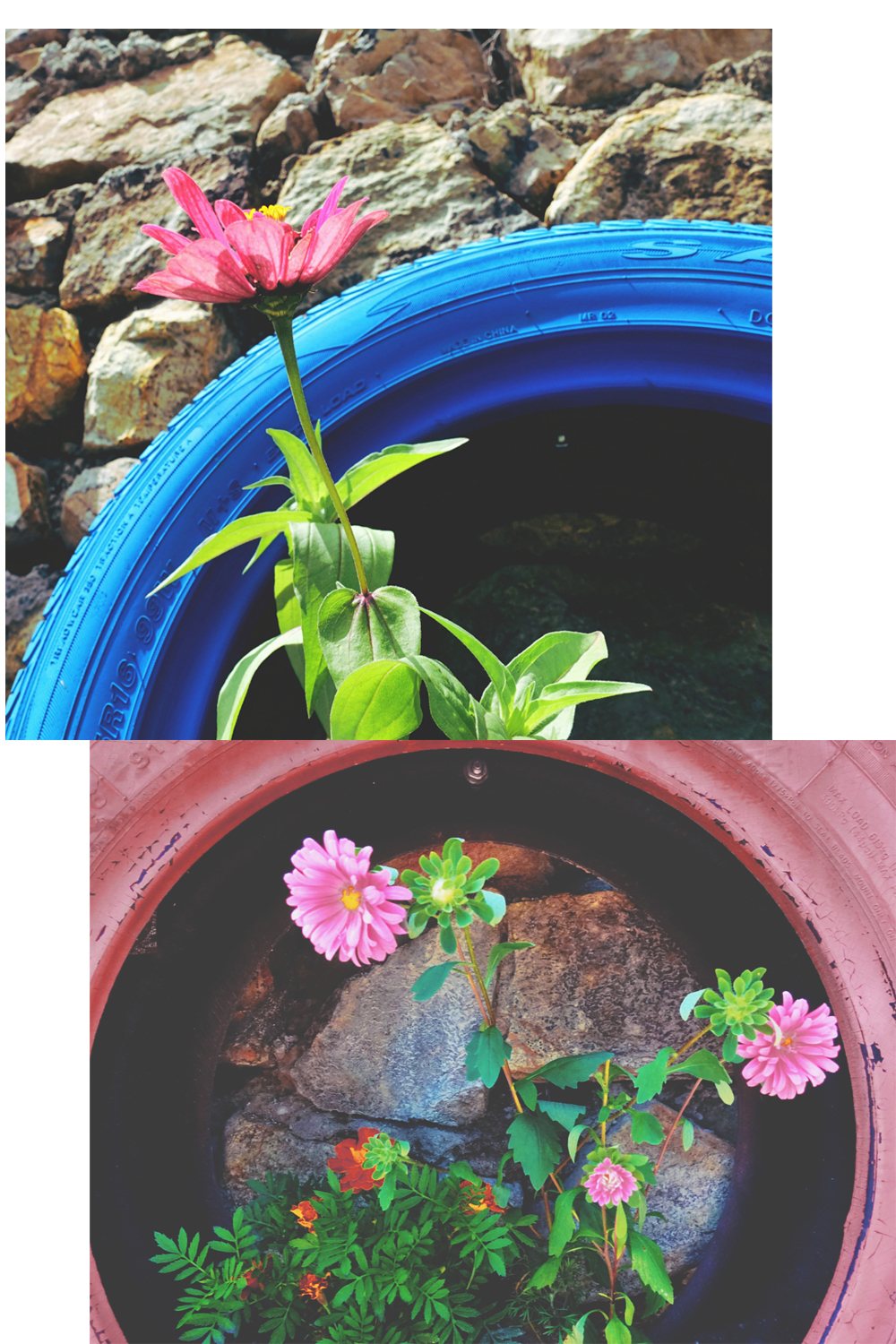 大森林里的小木屋秋雨后美成让人窒息云海小木屋离北京120公里