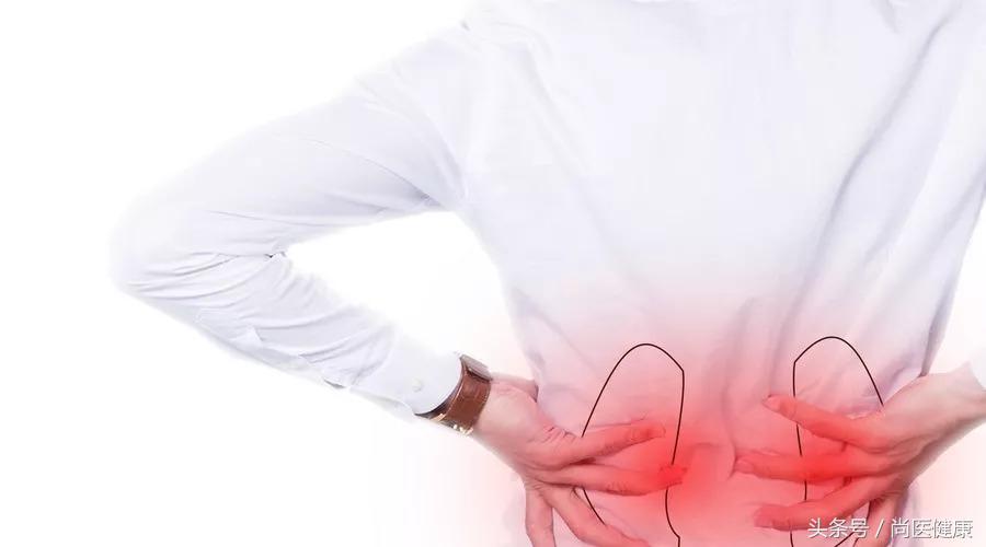 一个肾对人体有多大影响,肾对哪些脏器有影响