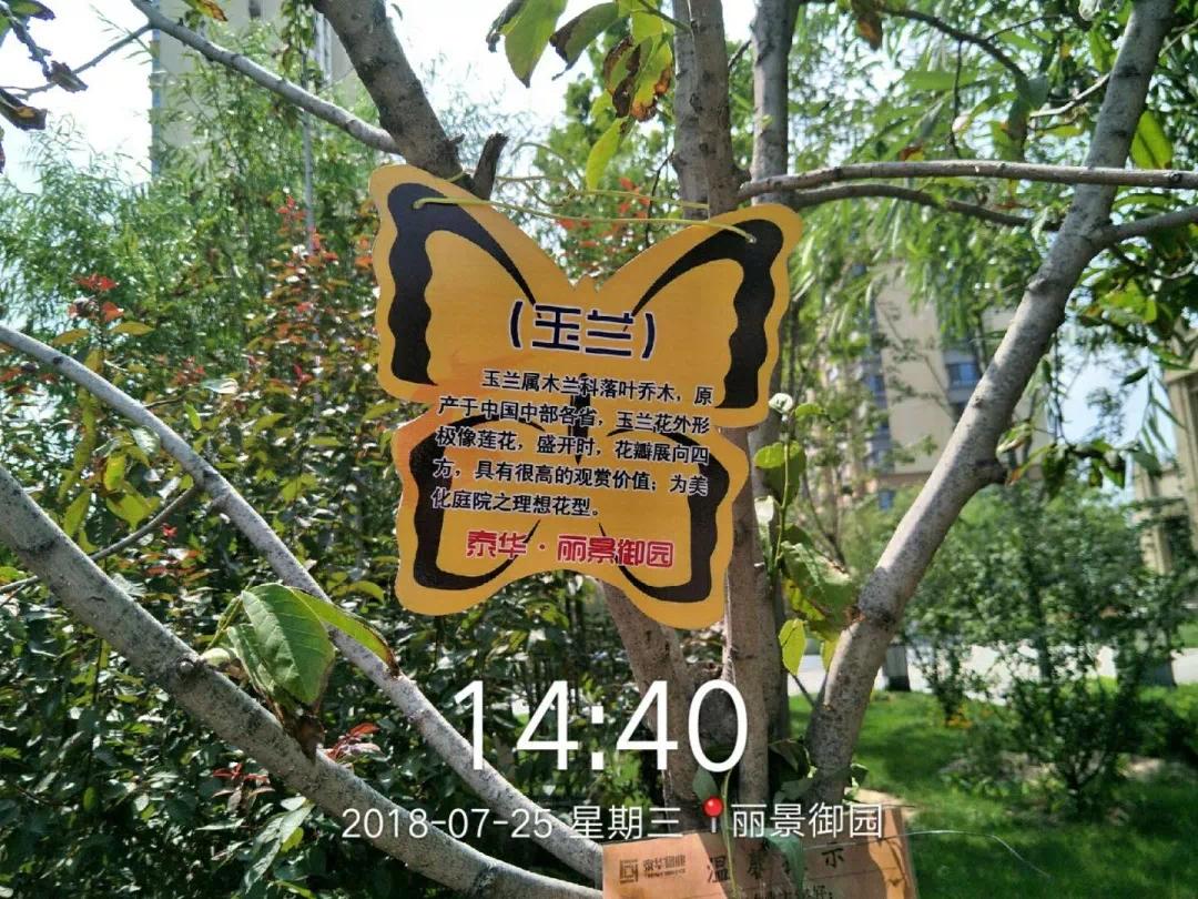 泰华物业照片,泰华物业最新状况