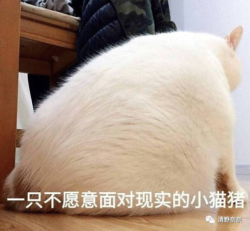 脸上的痘痘该怎么快速清除学生党,脸上痘痘反反复复怎么调理好肌肤