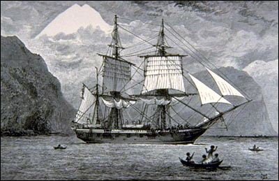 达尔文和华莱士的进化论,达尔文和华莱士的故事简介