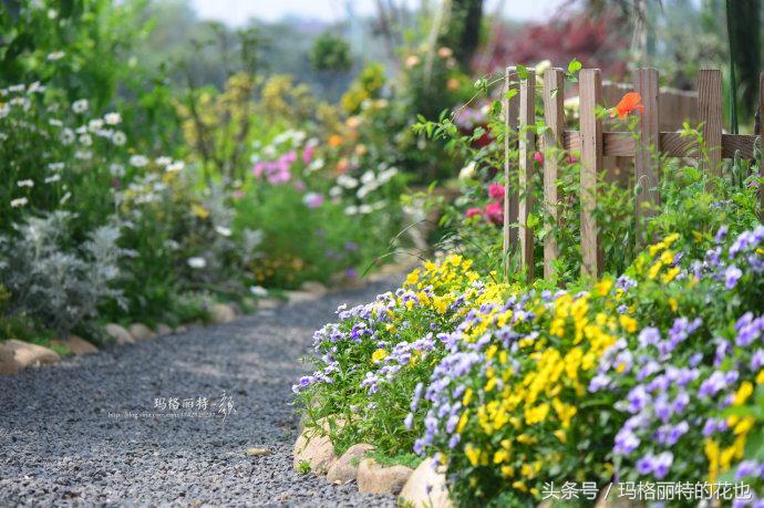 园丁修剪灌木,开满鲜花的小路教学设计一等奖