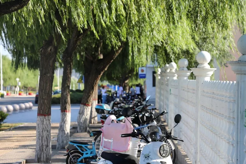 东胜的公立幼儿园有哪些,有了它你还怕迷路吗