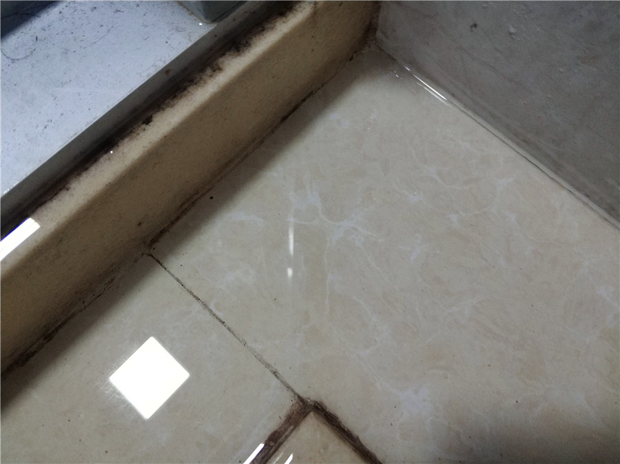 一机在手护理无忧,一机在手清洗无忧