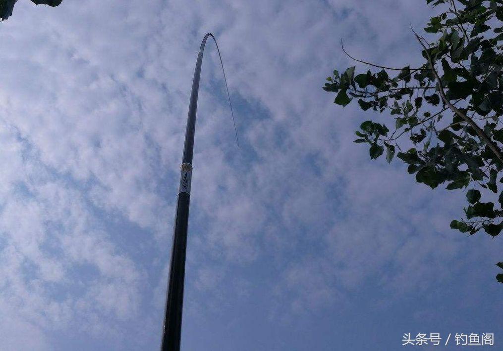 十种钓鱼看漂技巧,钓鱼看漂十大技巧教学