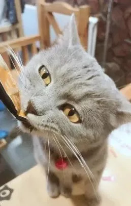 桂林值得去的咖啡店,桂林路氛围感咖啡店