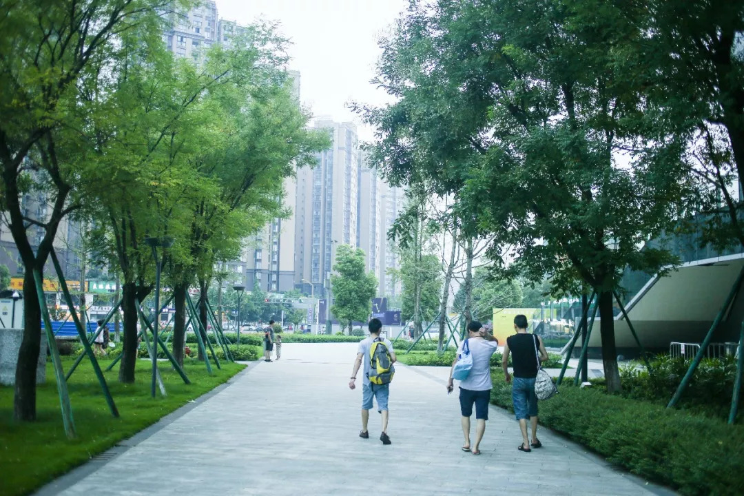 映象青白江｜汗流浃背才快活！傍晚的文体中心有最活力激情的一面！