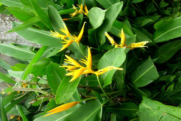 三亚旅游攻略自由行本地推荐,三亚旅游吃玩攻略自由行