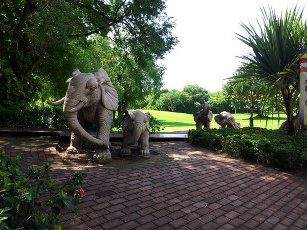 三亚旅游攻略自由行本地推荐,三亚旅游吃玩攻略自由行