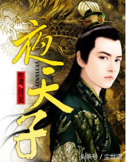 夜天子第二部小说原著,夜天子原著小说叫什么