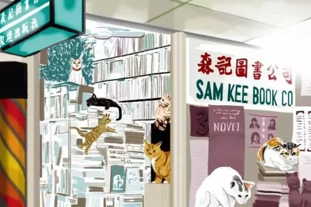 书店街卖的猫,书店猫