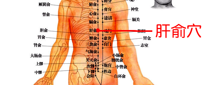 中医养生16个穴位帮你排湿气,痰湿体质按什么穴位可以祛湿