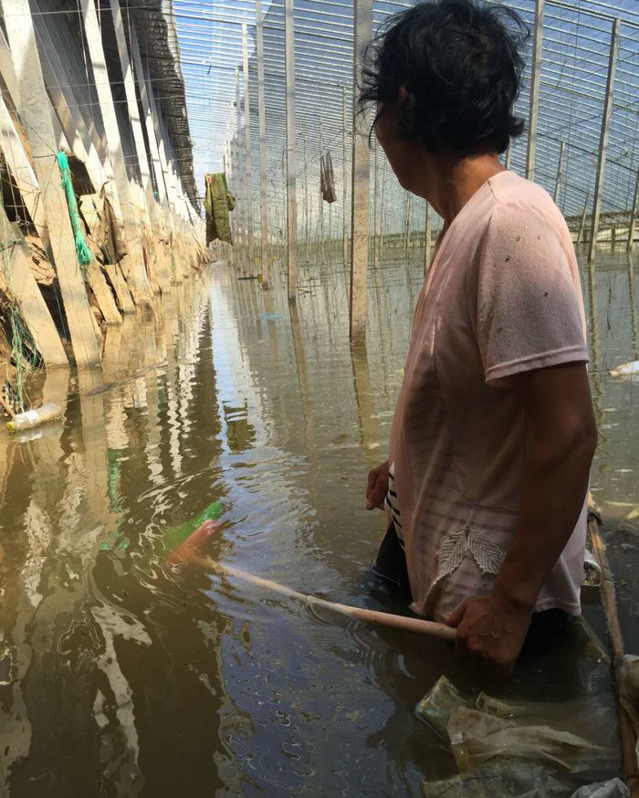 洪水无情，欧曼有爱