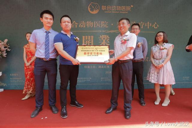 爱宠宠物医院服务中心,爱宠宠物医疗中心