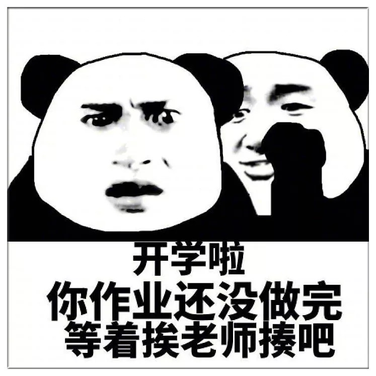 滨海新区生态城北师大附校,师大滨海附校怎么样