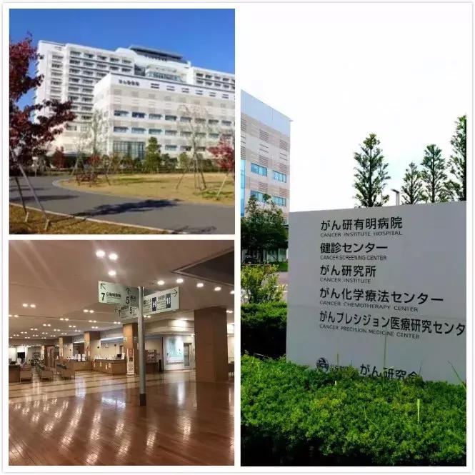 日本人基础体检项目,日本体检真的很准吗