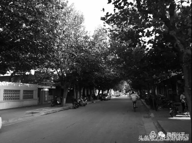 兴平：我的故乡我的云一一70后纤维厂纪事