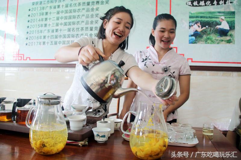 广东茗皇茶业种植基地,茗皇茶基地