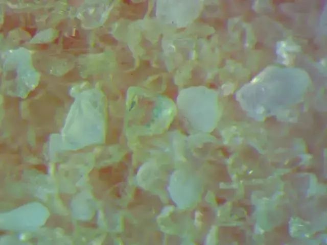 螨虫走开！中疾控检测100%有效，家有小宝、消除过敏源必备