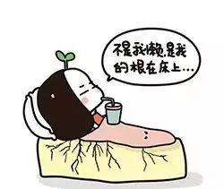 韩菲诗素颜霜测评,韩菲诗素颜霜作用