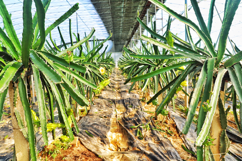 苏皖浙三省交界处,秋冬广德旅游攻略