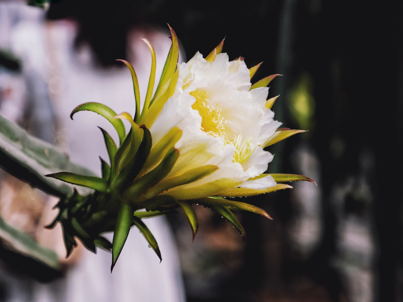 苏皖浙三省交界处,秋冬广德旅游攻略