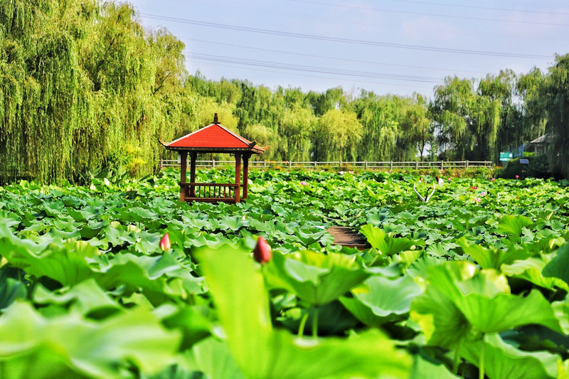 苏皖浙三省交界处,秋冬广德旅游攻略