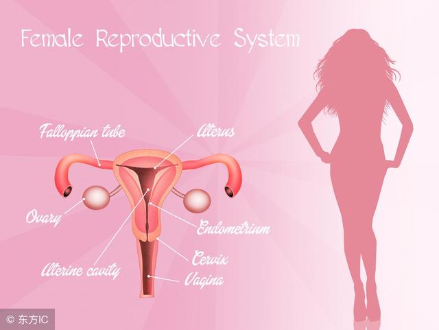 例假期间可以吃辣木籽吗,例假期间可以吃辣鸭脖