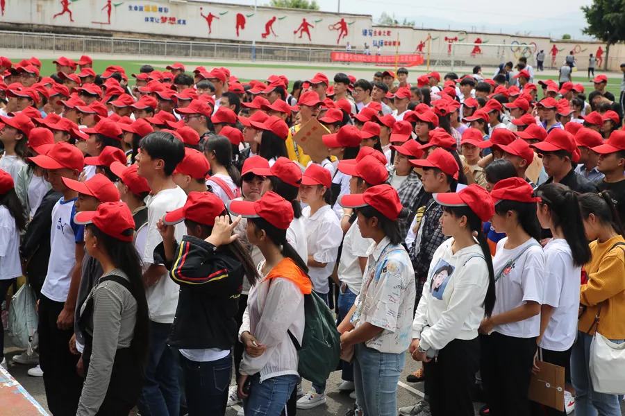 「今日宾川」既学本事还领“高”工资，这种好事给我来“一打”！