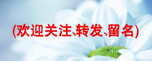 签名设计19期,2023年设计自己的签名免费版