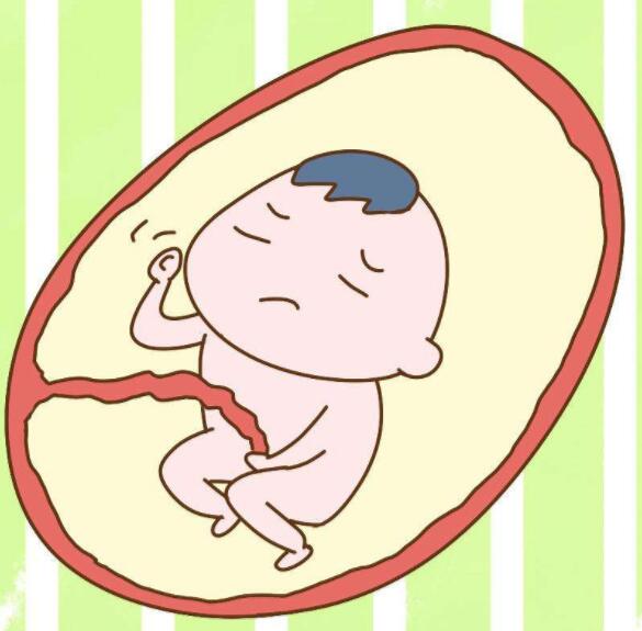 婴儿彩超胎动高清视频,婴儿胎动视频