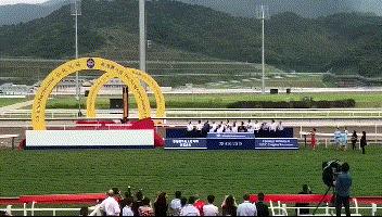 wow马术,香港赛马会从化马场