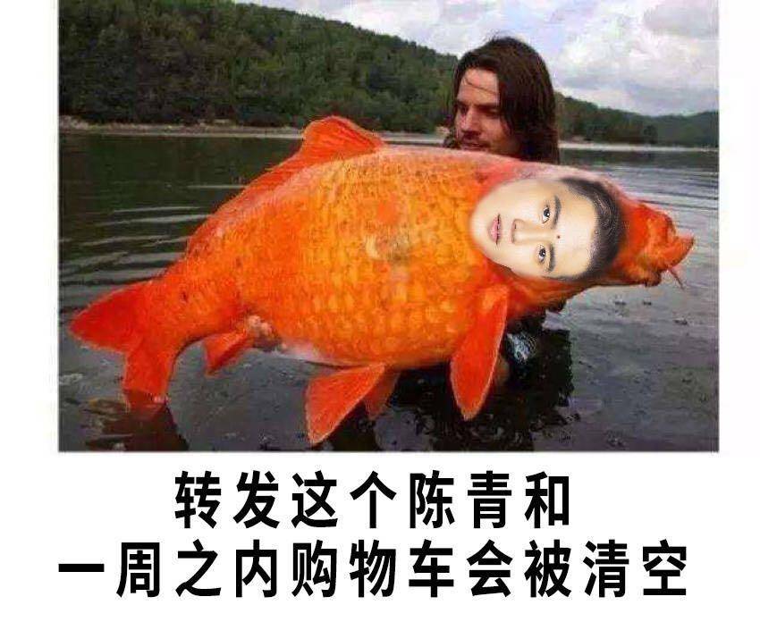 清空购物车上期中奖码,清空购物车的大奖