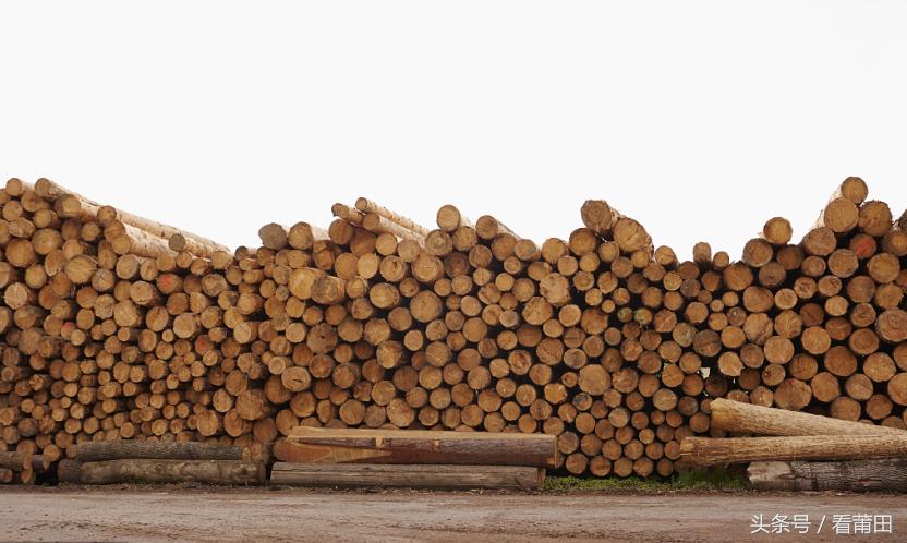 莆田海鲜市场推荐,莆田平海海鲜市场