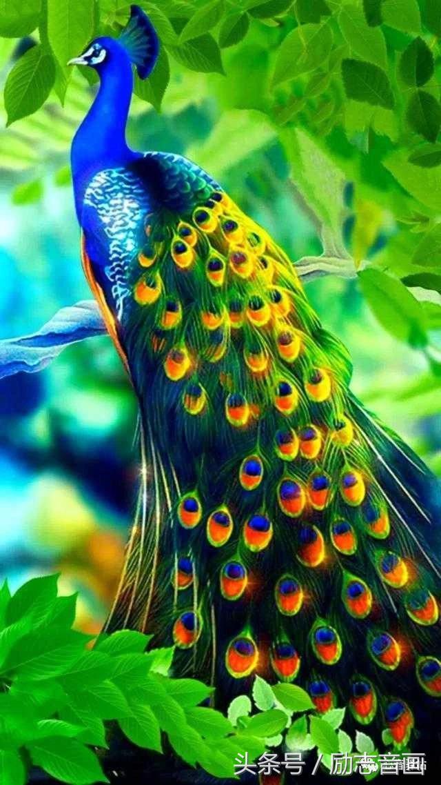 综合知识78集，赶紧保存，早晚用得上！