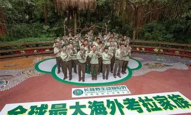 我不要做中国迪士尼，我要做中国的长隆！——苏志刚的长隆故事