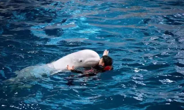 家有美景来欣赏何必外出看风景,家有美景何必远方