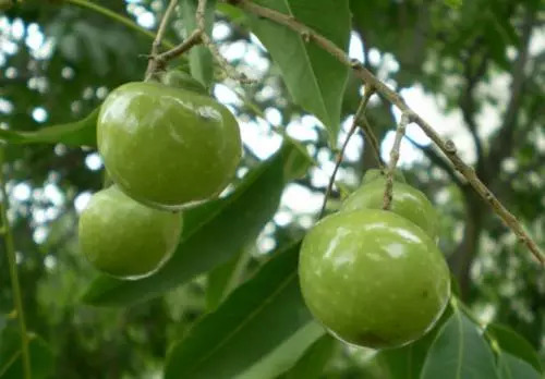 大促限时优惠,大促限时秒杀